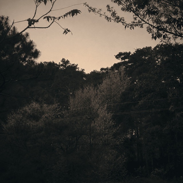 'I know You’re somewhere' cover art