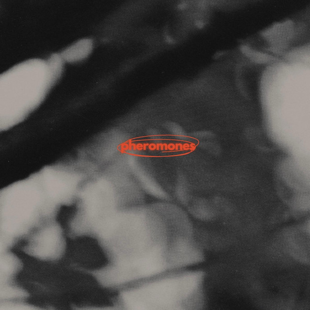'pheromones' cover art