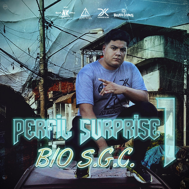 'Perfil Surprise 1° Só o Que Tenho a Falar' cover art