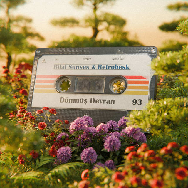 'Dönmüş Devran' cover art