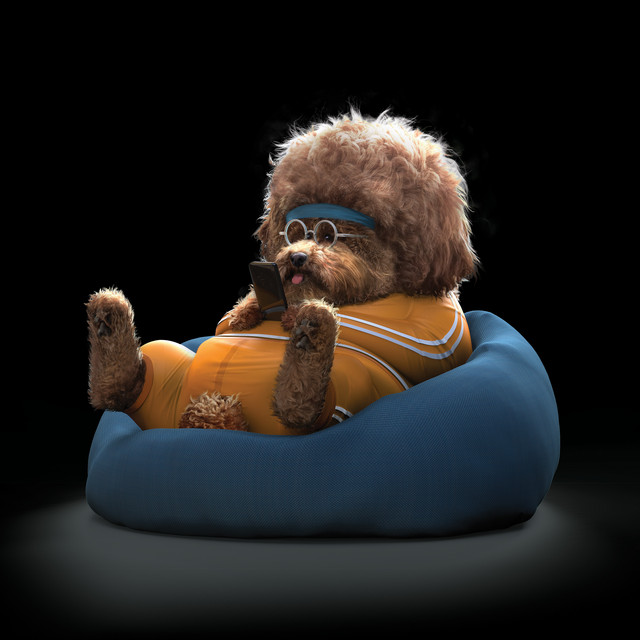 'Koko' cover art