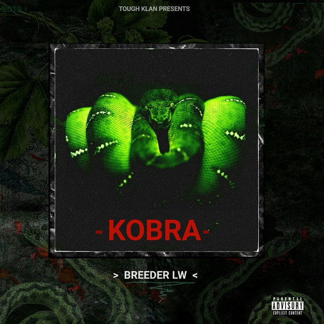 'Kobra' cover art