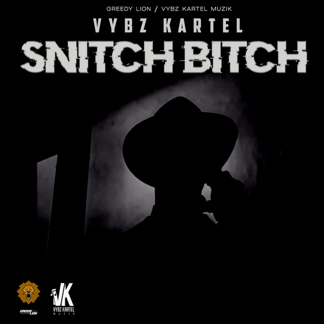 'Snitch Bitch' cover art