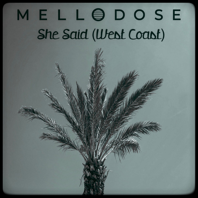 'She Said (West Coast)' cover art