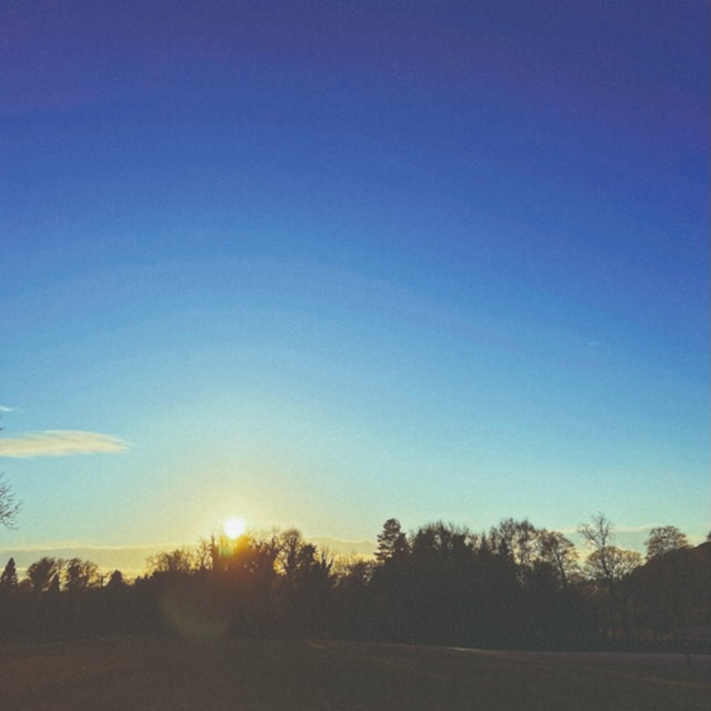 'From The Beginning' cover art