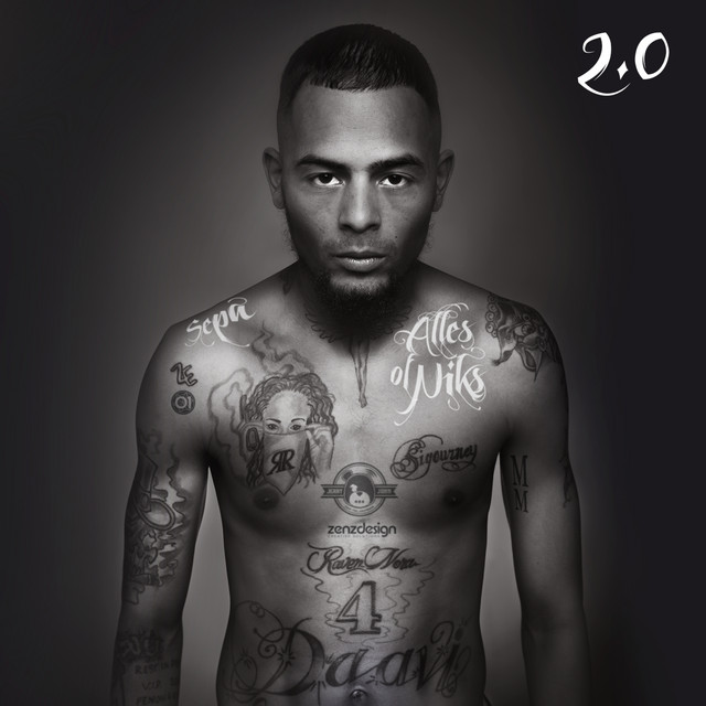 'Alles Of Niks 2.0' cover art