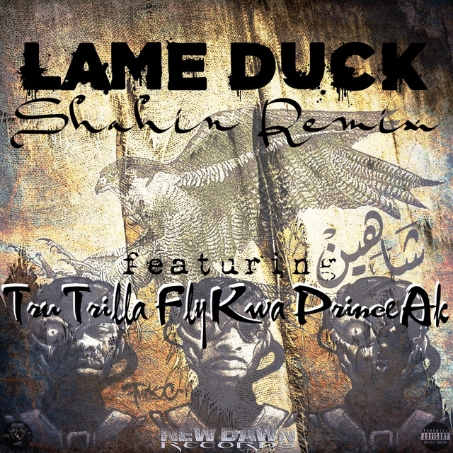 'Lame Duck (Shahin Remix)' cover art