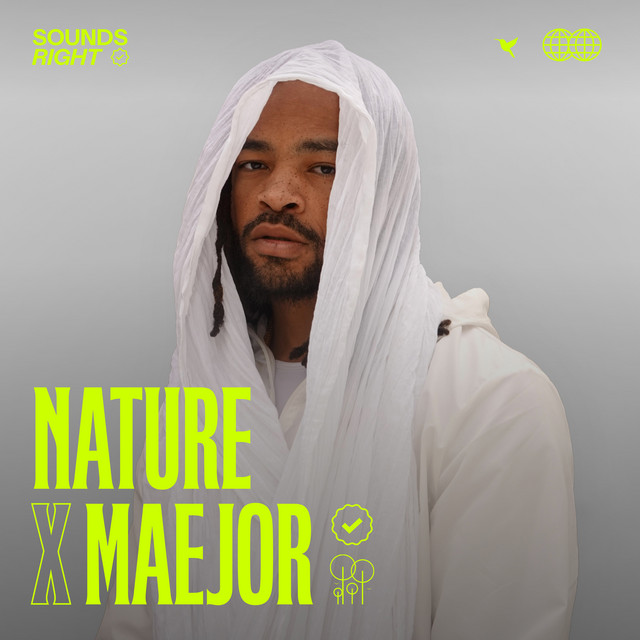 'Reflection 444 Hz (feat. NATURE & Maejor)' cover art