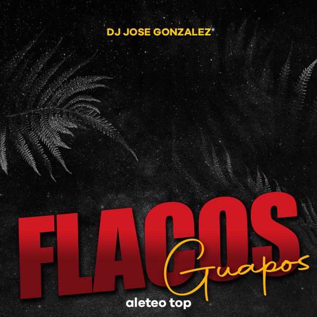 'Flacos Guapos' cover art