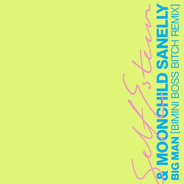 'Big Man (Bimini Boss Bitch Remix)' cover art