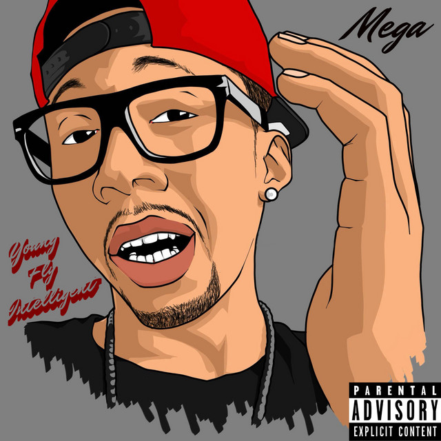'Young Fly & Intelligent' cover art