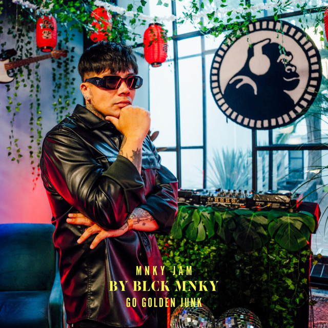 'The Mnky Jam, Vol. 4 (Live)' cover art