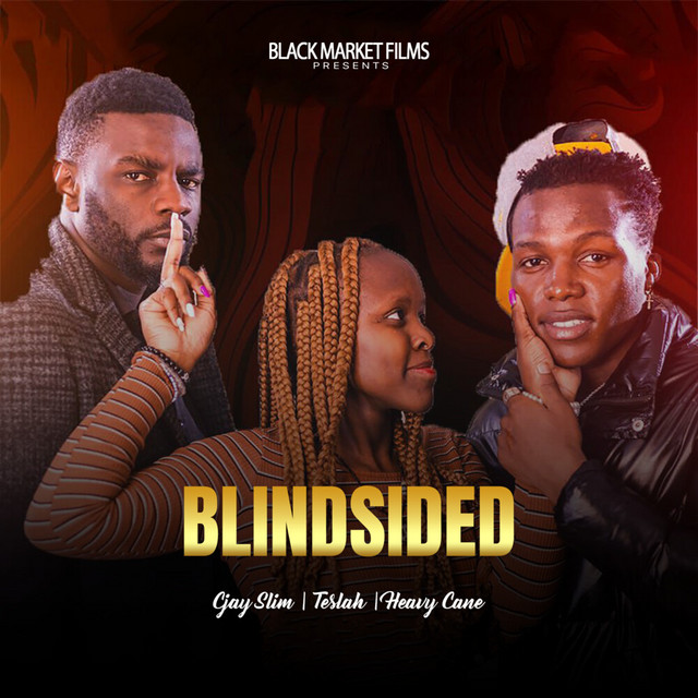 'Blindsided' cover art