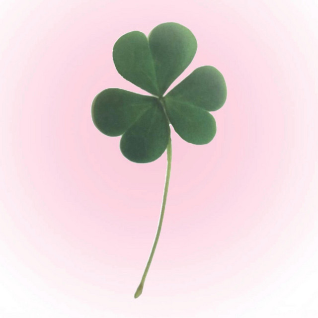 '4leafclover!' cover art