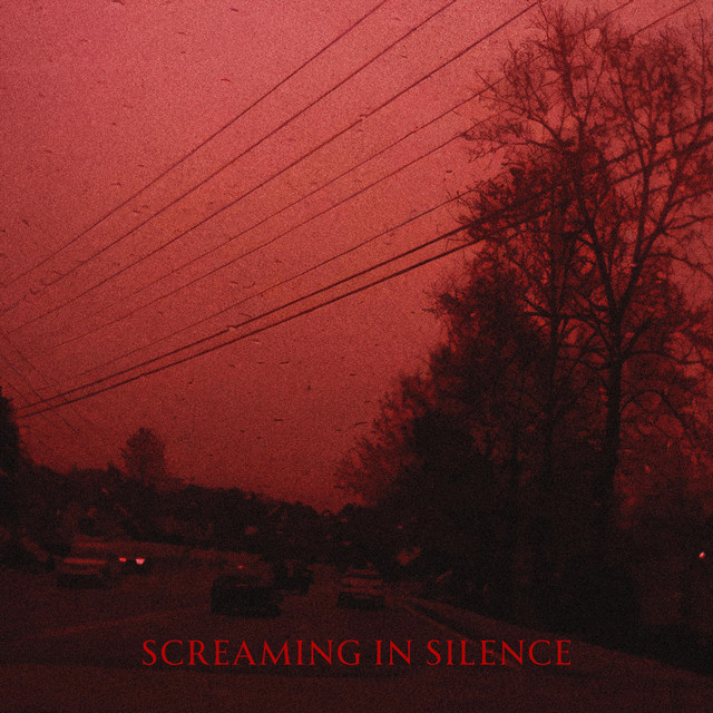 'screaming in silence' cover art
