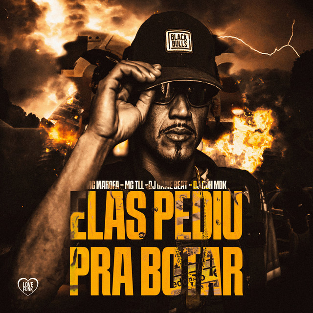 'Elas Pediu pra Botar' cover art
