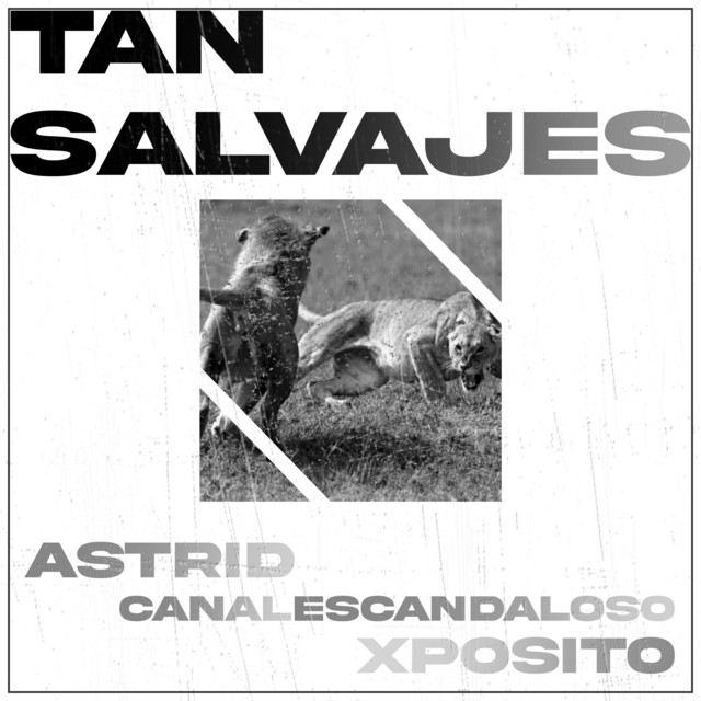 'Tan Salvajes' cover art