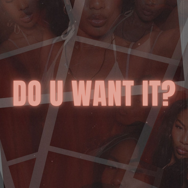 'DO U WANT IT?' cover art