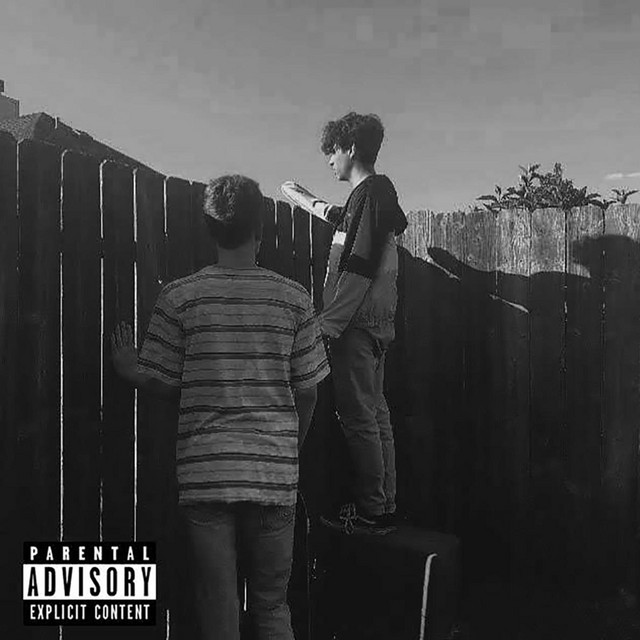 'Go Støøpid' cover art