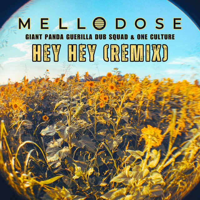 'Hey Hey (Remix)' cover art