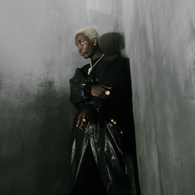 Tml Vibez - Official Artist Photo