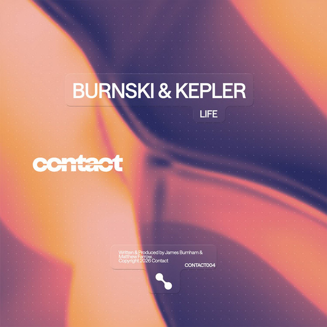 'Life (Edit)' cover art