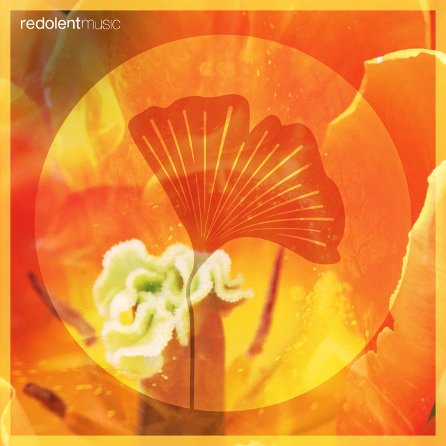 'Loco Morocco' cover art