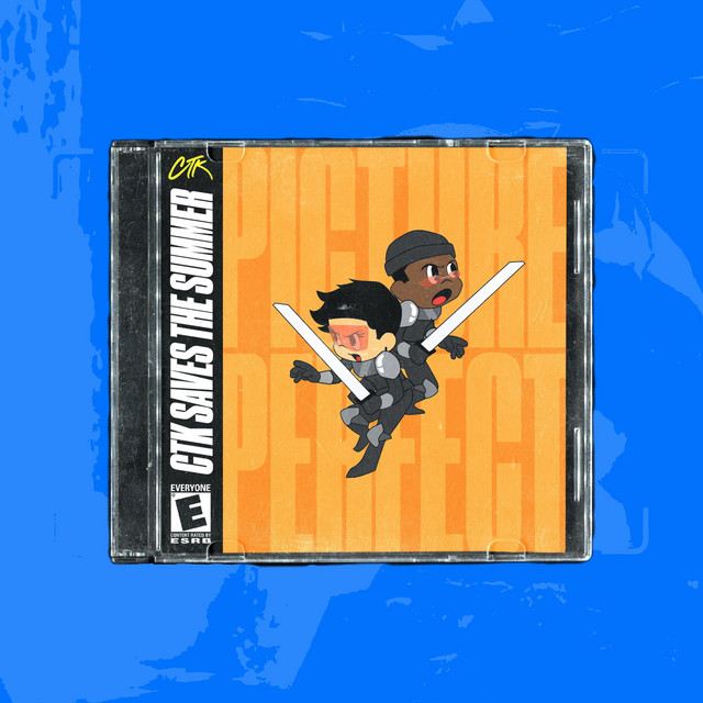 'PICTURE PERFECT' cover art