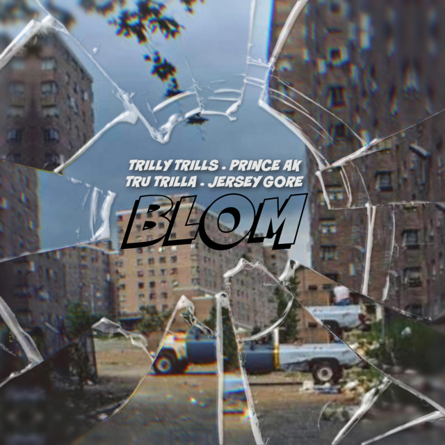 'BLOM' cover art