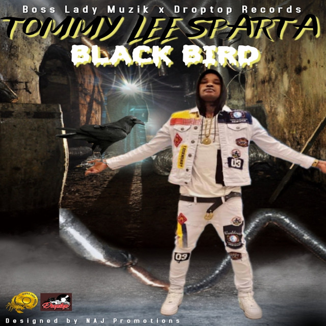 'Black Bird' cover art