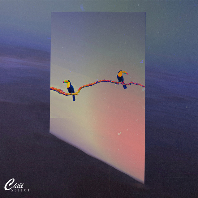'calm under the waves' cover art