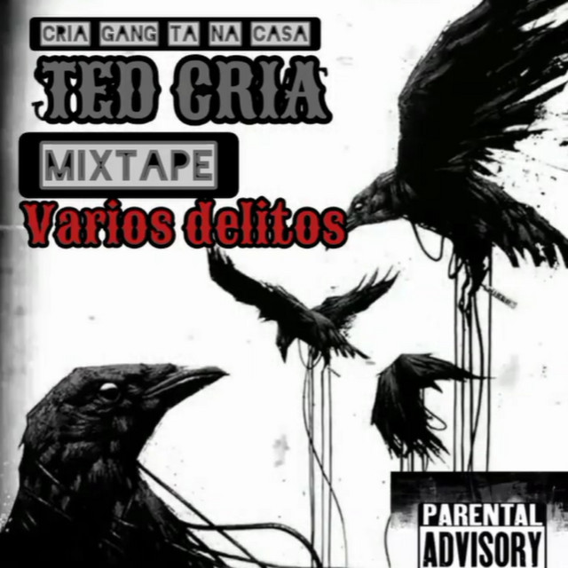 'vários delitos' cover art