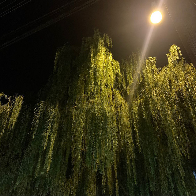 'zombie' cover art
