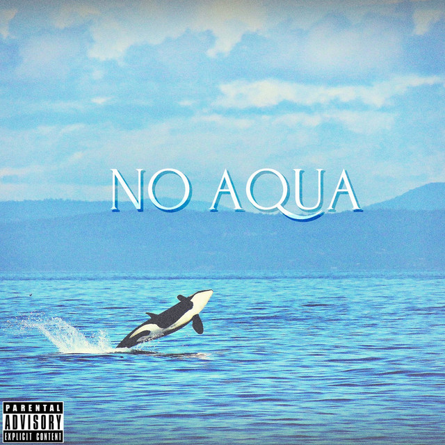 'No Aqua' cover art