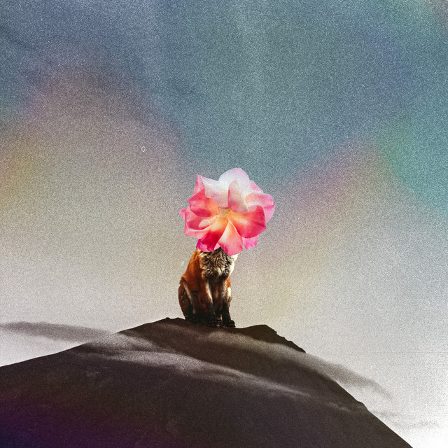 'fox on mountain with flower head' cover art