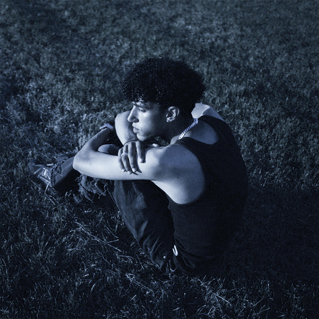 'whyamirushing?' cover art