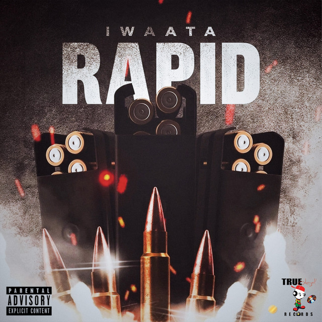 'Rapid' cover art