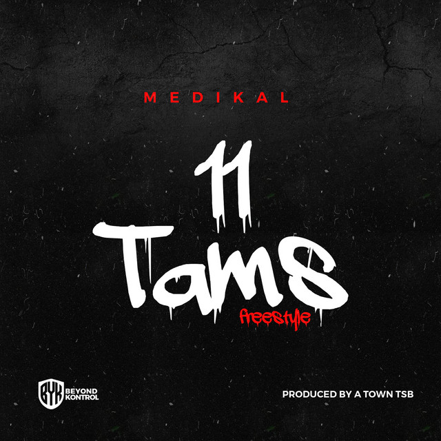 '11 TAMS' cover art