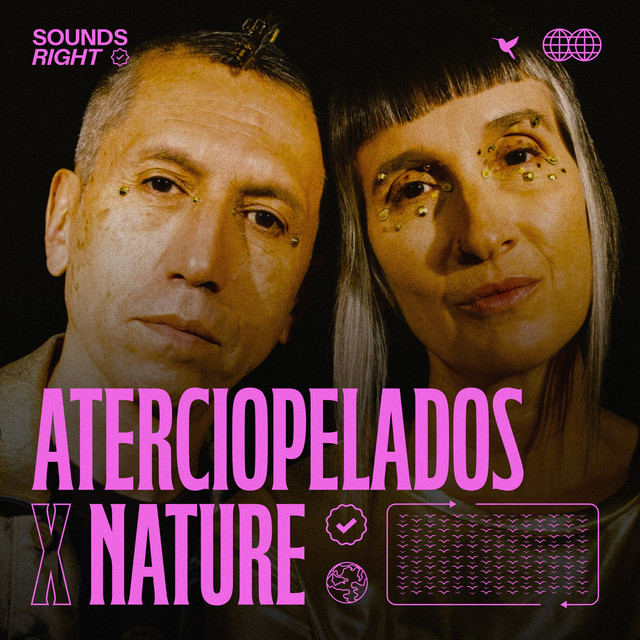 'Rompecabezas (feat. NATURE)' cover art