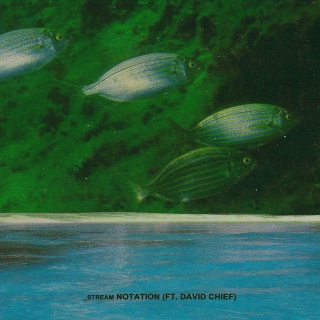 '_stream' cover art