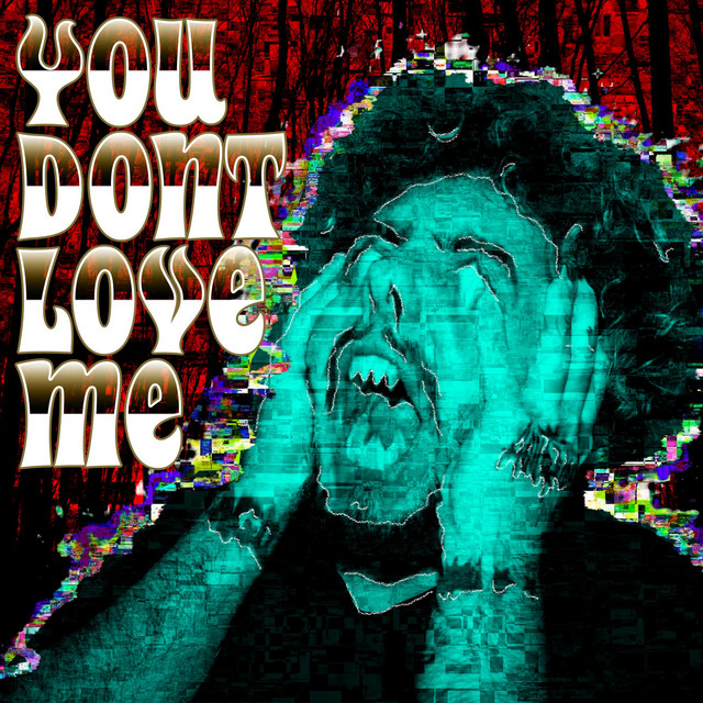 'You Dont Love Me' cover art