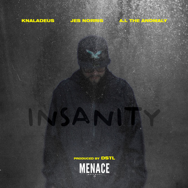 'Insanity' cover art
