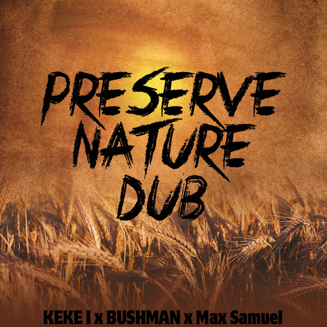 'Preserve Nature (Dub Version)' cover art