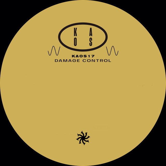 'DAMAGE CONTROL' cover art