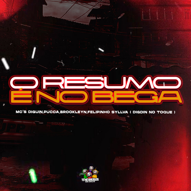 'O Resumo É no Bega' cover art