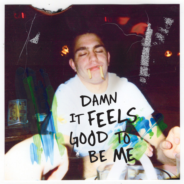 'Damn It Feels Good To Be Me' cover art
