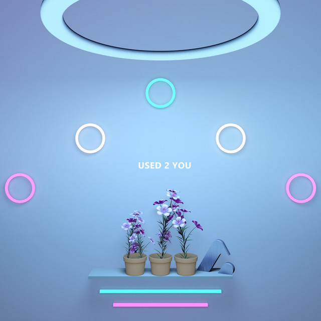 'USED 2 YOU' cover art