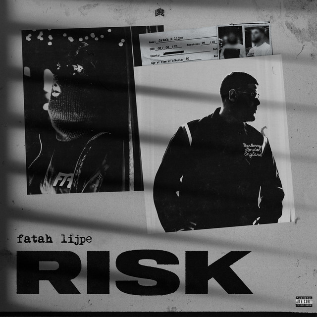 'Risk' cover art