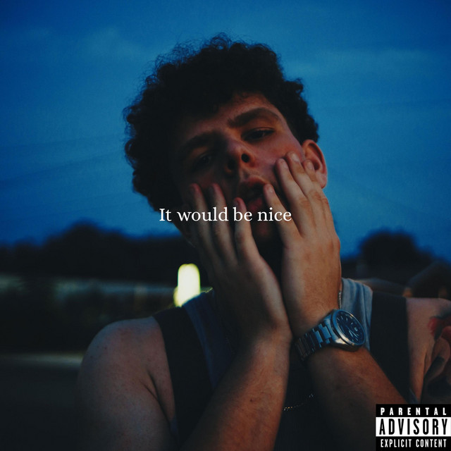 'IT WOULD BE NICE' cover art