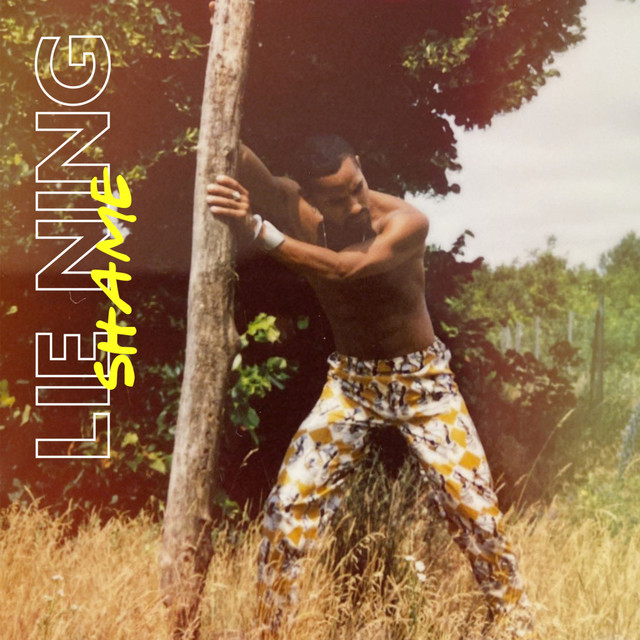 'shame' cover art